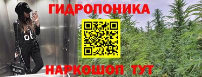 гашиш Берёзовский