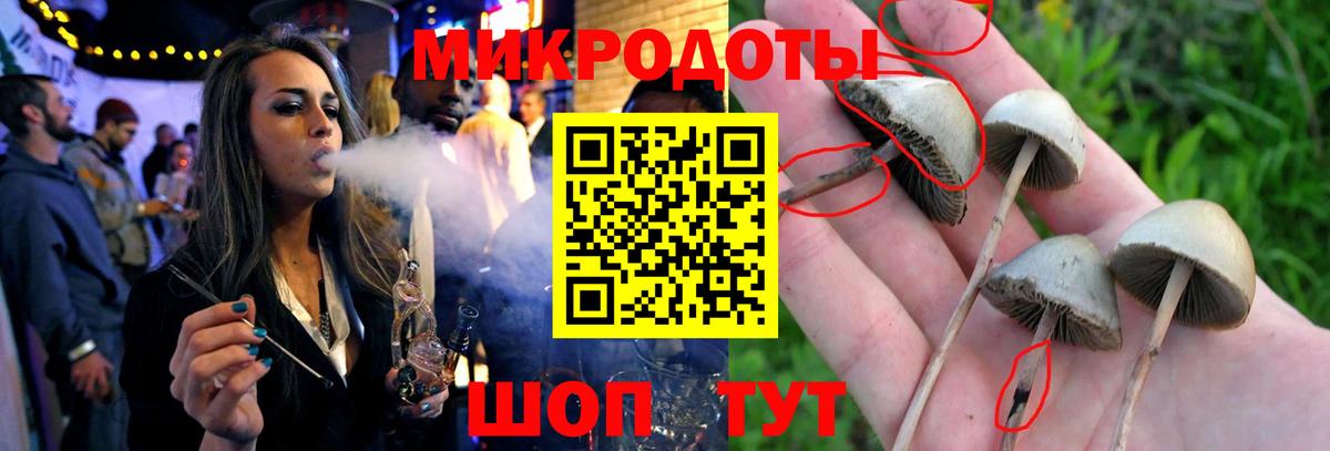 где купить   Галлюциногенные грибы ЛСД  Вход с VPN  Качканар 