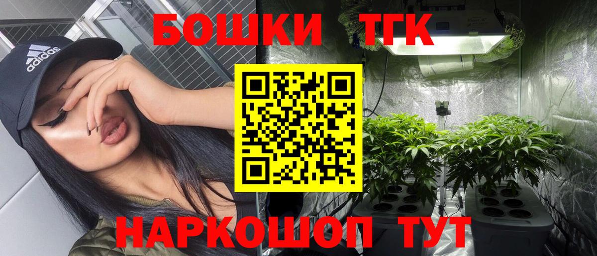Качканар  Шишки марихуана план  Бошки Шишки AK-47  Бошки Шишки сатива  Вход с VPN 
